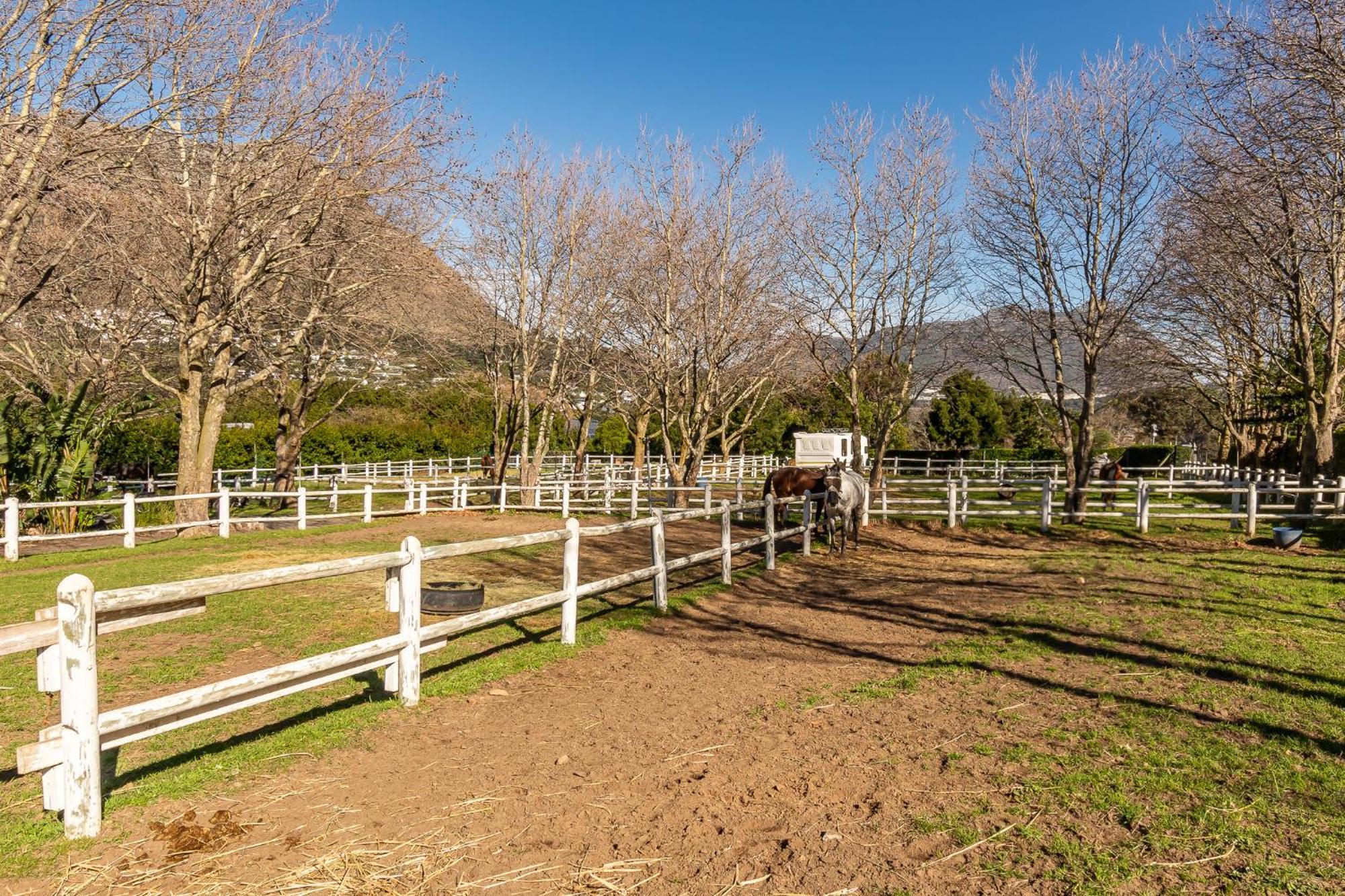 Novelle Vista Hout Bay